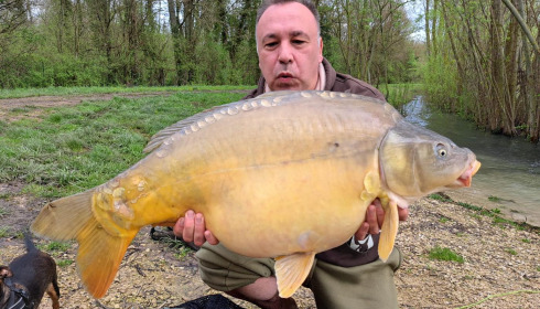 A carp from Fullys Lake, Apr 2024