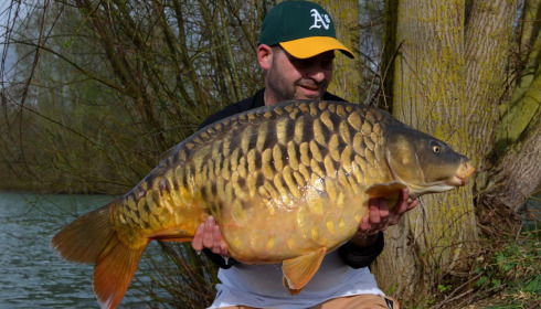 A carp from Fullys Lake, Mar 2025
