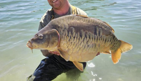 A carp from Fullys Lake, Apr 2025