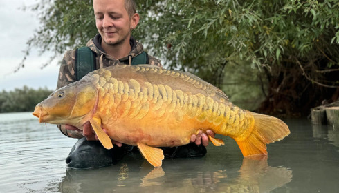 A carp from Fullys Lake, Oct 2024