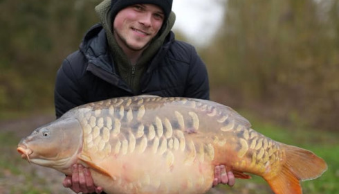 A carp from Fullys Lake, Dec 2024