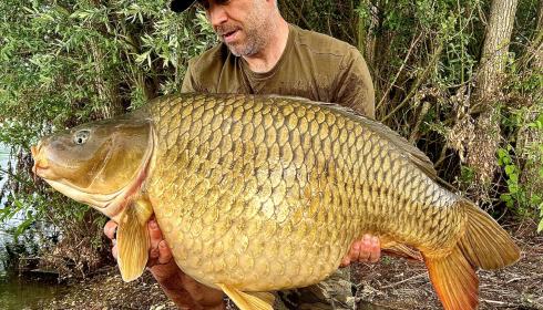 A fish from Fullys Lake, May 2025