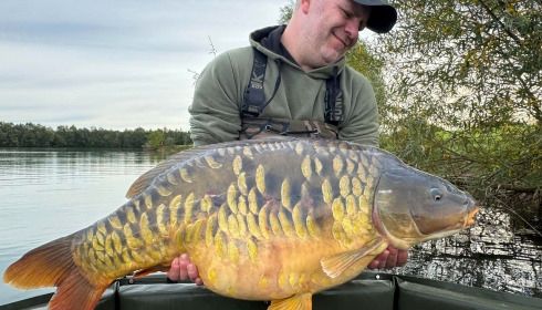 A carp from Fullys Lake, Oct 2024