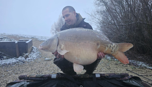 A carp from Fullys Lake, Jan 2025