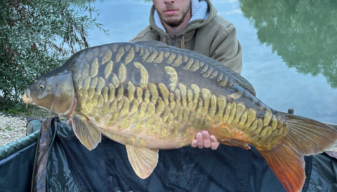 A carp from Fullys Lake, Oct 2025