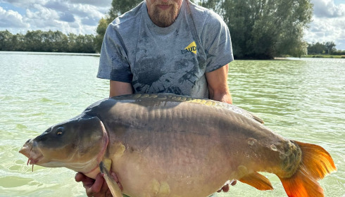 A carp from Fullys Lake, Oct 2025