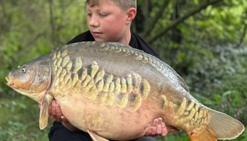 A carp from Fullys Lake, Sep 2023
