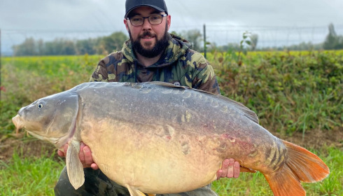 A carp from Fullys Lake, Oct 2024
