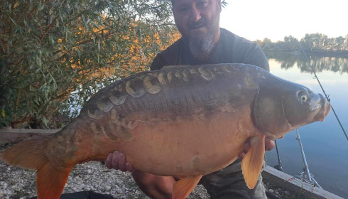A carp from Fullys Lake, Oct 2023