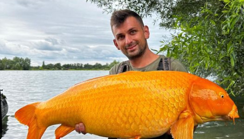 A carp from Fullys Lake, Jul 2024