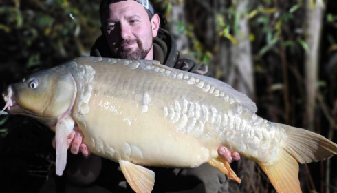 A carp from Fullys Lake, Nov 2023