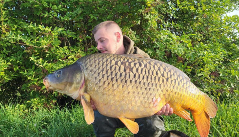 A carp from Fullys Lake, Aug 2024