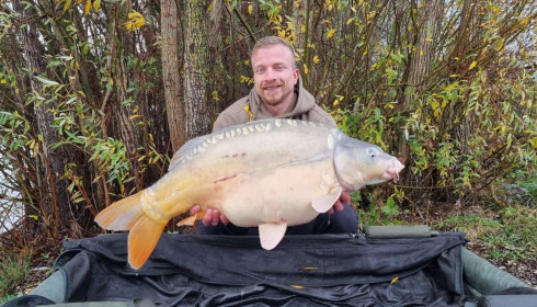 A carp from Fullys Lake, Nov 2023