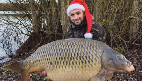 A carp from Fullys Lake, Dec 2024