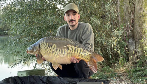 A carp from Fullys Lake, Oct 2023