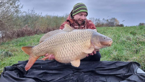 A carp from Fullys Lake, Nov 2023