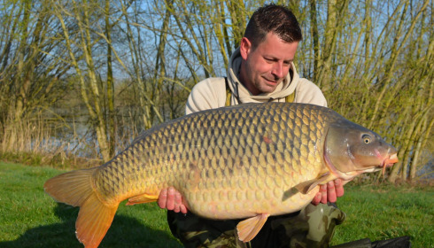 A carp from Fullys Lake, Apr 2025