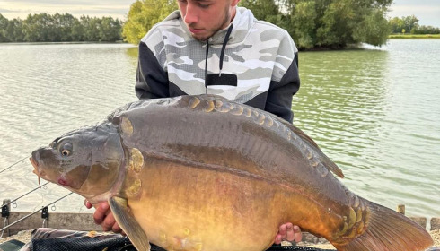 A carp from Fullys Lake, Oct 2025