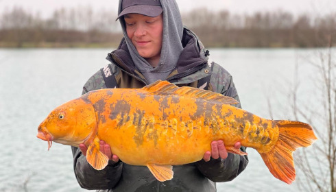 A carp from Fullys Lake, Mar 2025