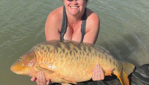 A carp from Fullys Lake, Oct 2025
