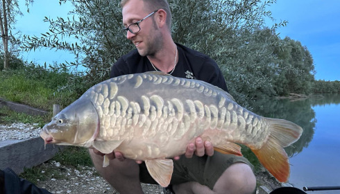 A carp from Fullys Lake, Sep 2023