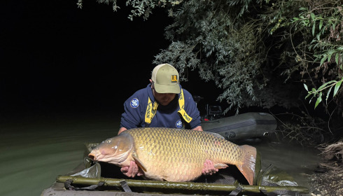 A carp from Fullys Lake, Sep 2025