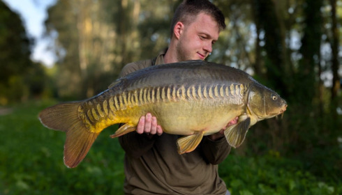 A carp from Fullys Lake, Sep 2024