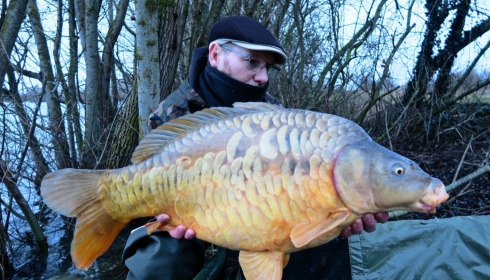 A carp from Fullys Lake, Feb 2025