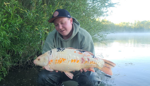 A carp from Fullys Lake, May 2025