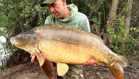 A carp from Fullys Lake, May 2025