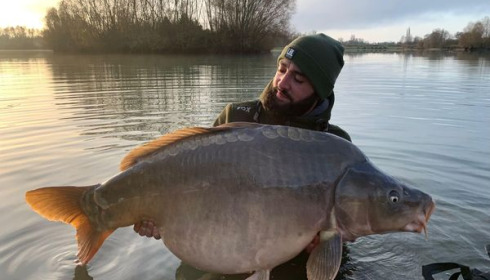A 59 lb 9 oz carp from Fullys Lake, Dec 2024