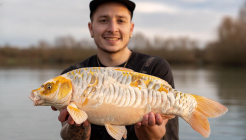 A carp from Fullys Lake, Feb 2025