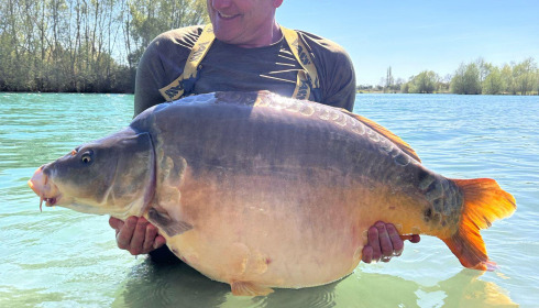A 66 lb 6 oz carp from Fullys Lake, Apr 2025