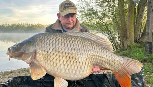 A carp from Fullys Lake, Apr 2024