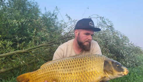 A carp from Fullys Lake, Aug 2024