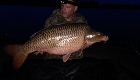 A 50 lb carp from Fullys Lake, John Brophy, Aug 2025
