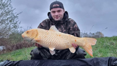 A carp from Fullys Lake, Nov 2023