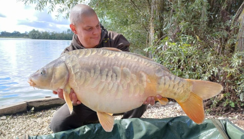 A carp from Fullys Lake, Sep 2024