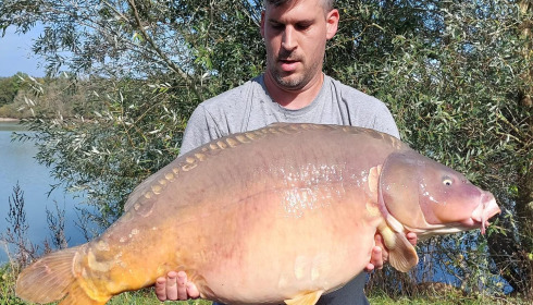 A carp from Fullys Lake, Oct 2023