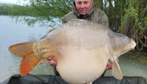 A 59 lb 9 oz carp from Fullys Lake, Apr 2025