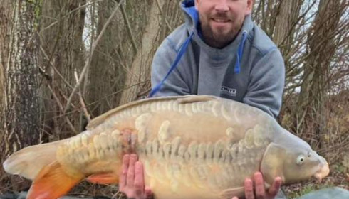 A carp from Fullys Lake, Dec 2023