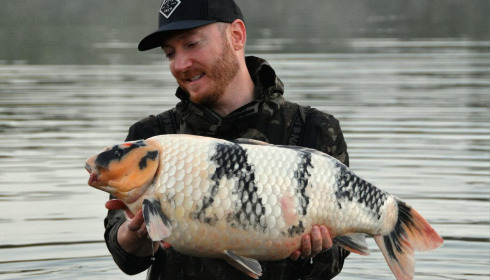 A carp from Fullys Lake, Sep 2024