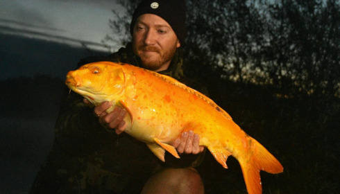 A carp from Fullys Lake, Sep 2024