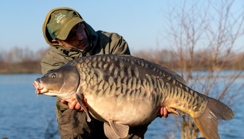 A carp from Fullys Lake, Feb 2025