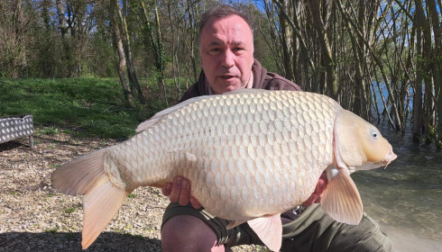 A carp from Fullys Lake, Apr 2024