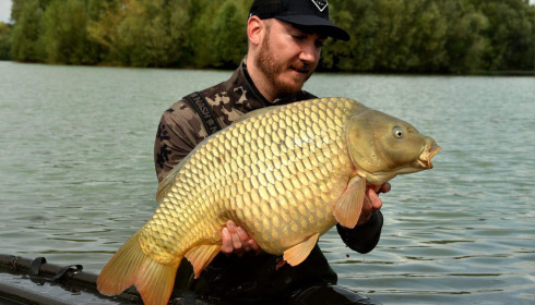 A carp from Fullys Lake, Sep 2024