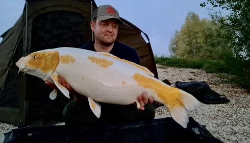 A carp from Fullys Lake, Sep 2023