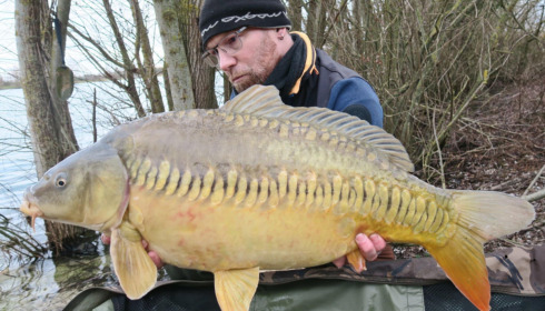 A carp from Fullys Lake, Feb 2025