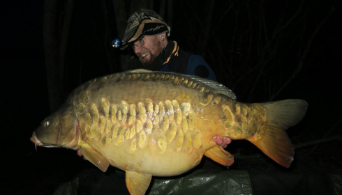 A carp from Fullys Lake, Feb 2025