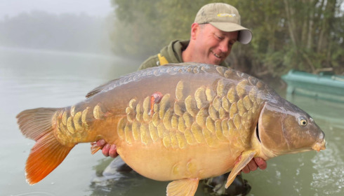 A carp from Fullys Lake, Oct 2025